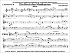 Ein Hoch den Musikanten / Gebet eines Musikanter