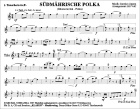 Südmährische Polka (Jihomoravská)