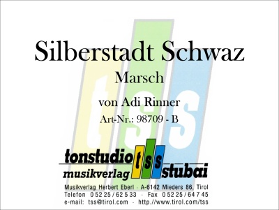 Silberstadt Schwaz