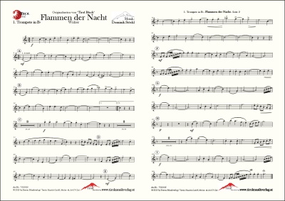 Flammen der Nacht