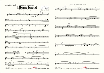 Silberne Jugend