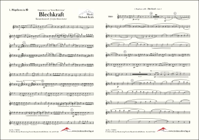 Blechkraft