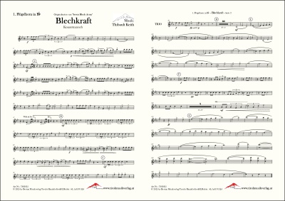Blechkraft