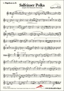 Salfeinser Polka