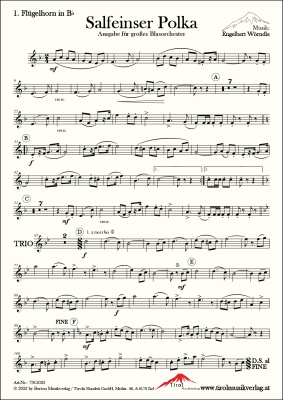 Salfeinser Polka
