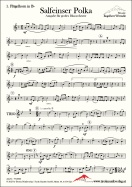 Salfeinser Polka