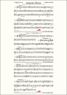 Antonius Messe