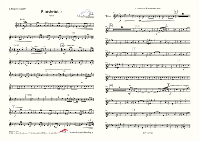 Blutsbrüder
