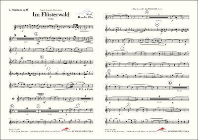 Im Flüsterwald