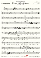 Deine Liebestränen - Böhmische Polka