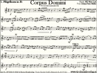 Corpus Domini