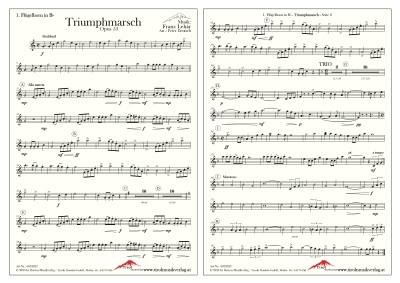 Triumphmarsch - op. 53