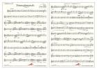Triumphmarsch - op. 53