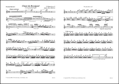 Chant du Rossignol - Gesang der Nachtigall