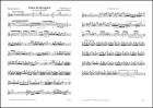 Chant du Rossignol - Gesang der Nachtigall