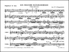 Ein fescher Flügelhornist