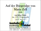 Auf der Bürgeralpe von Maria Zell